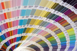 Graphic Design, Brisbane