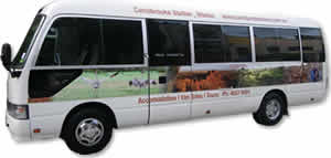 Vehicle Signage Brisbane